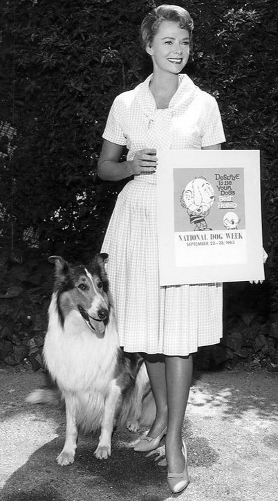 National Dog Day Lassie