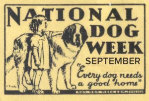 National Dog Week advert