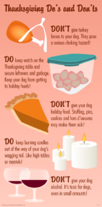 Thanksgiving tips-AKC