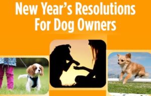 dog owner resolutions