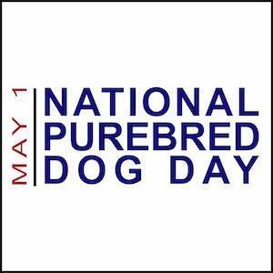 Purebred Dog Day
