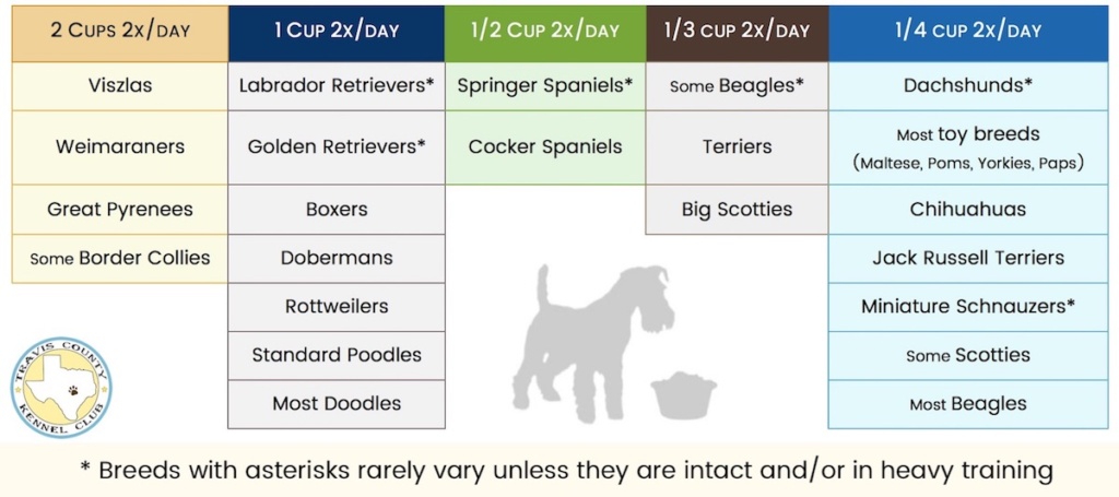 Dog Bowl Size Chart