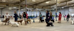 2024 TCKC dog show-group competition