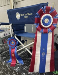 2025 show Best in Show award