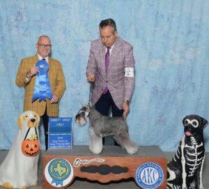 group winner - terrier- day 1