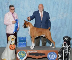 working group winner day 1