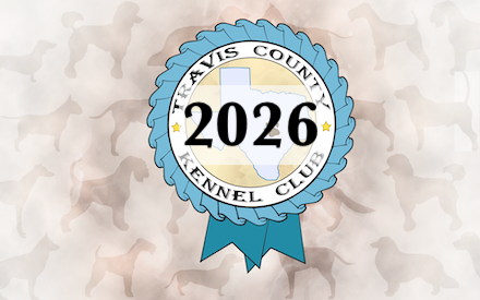2026 Show Winners